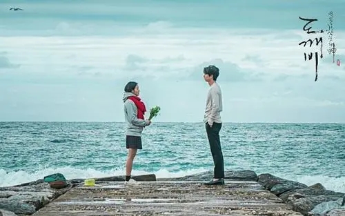 《孤单又灿烂的神-鬼怪》OST原声带音乐(28首单曲)百度云网盘下载资源[228.12MB]