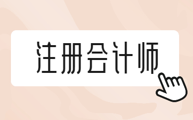 《CPA注册会计师考试教学培训视频资料》百度云网盘下载[MP4/PDF/1.80GB]