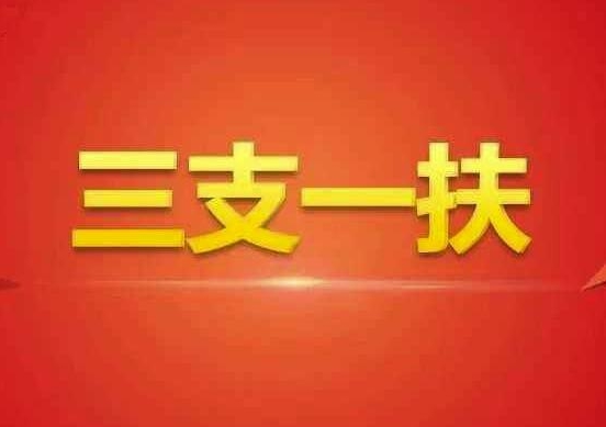 《三支一扶、村官考试教学培训视频资料》百度云网盘下载[MP4/20.81GB]