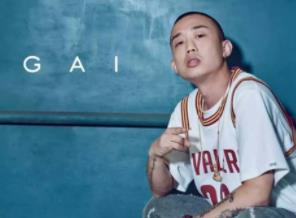 中国有嘻哈Rapper歌曲视频MV[40部]百度云网盘下载[MP4/4.02GB]