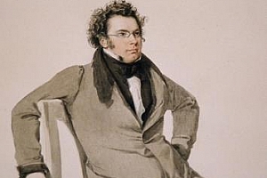 Franz Schubert舒伯特《The Collector’s Edition》[50张CD]歌曲合集百度云网盘下载[FLAC/11.47GB]