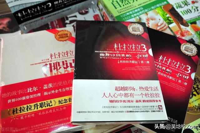 有声小说《杜拉拉升职记3我在这战斗的一年里》(全集)百度云网盘下载[135M]