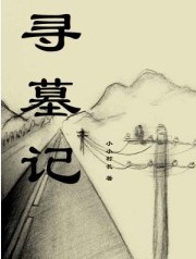 有声小说《寻墓记》94集全百度云网盘下载[362.9M]