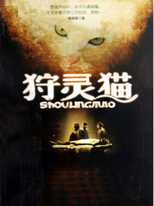 有声小说《狩灵猫》34集全百度云网盘下载[121.4M]