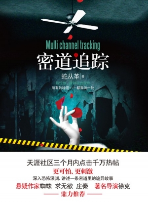 有声小说《密道追踪》51集百度云网盘下载[247.2M]