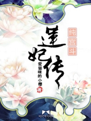 有声小说《莲妃传》85集全百度云网盘下载[520.1M]