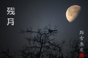有声小说《残月》30集全百度云网盘下载[315.6M]