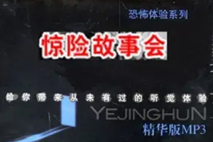 有声小说《艾宝良惊险故事会》16集全百度云网盘下载[91.4M]