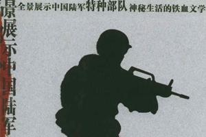 有声小说《狼牙》[全92集](播音王凯)百度云网盘下载[363.1M]