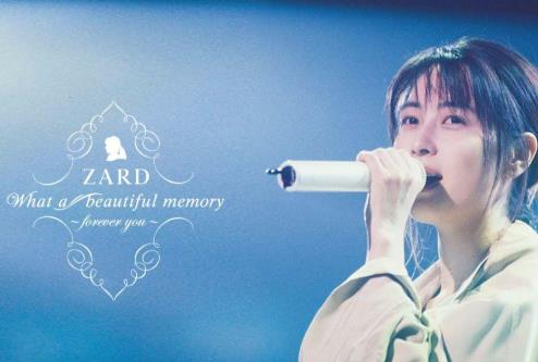 ZARD坂井泉水[63张专辑/单曲]歌曲合集百度云网盘下载[FLAC/MP3/47.24GB]