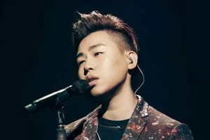 胡彦斌14张专辑歌曲音乐合集打包百度云网盘下载[FLAC/MP3/6.77GB]