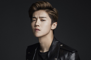 鹿晗[29张专辑/单曲]歌曲合集百度云网盘下载[MP3/1003.89MB]