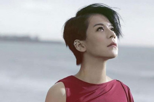 江美琪[25张专辑]歌曲合集百度云网盘下载[FLAC/MP3/5.97GB]