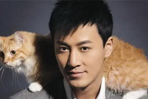 林峰/峯[4张MP3专辑+4场演唱会视频]百度云网盘下载[MKV/FLAC/MP3/33.71GB]