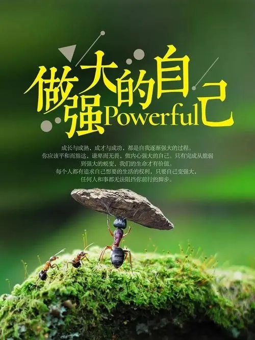 有声小说《励志人生哲理美文[全集]》百度云网盘下载[15.2M]