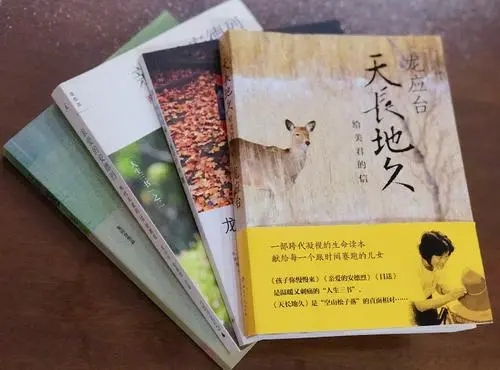 有声小说《龙应台杂文精品[全集]》百度云网盘下载[69M]