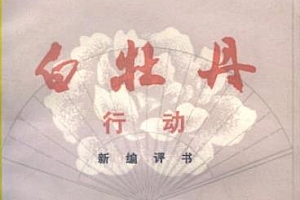 刘兰芳评书《白牡丹行动》(全60集)有声小说百度云网盘下载[MP3/256.72MB]
