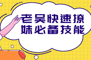 《老吴快速撩妹必备技能》百度云网盘下载[MP4/958.44MB]