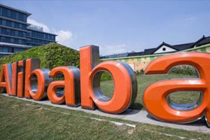 《阿里人力资源管理实践》(完结版)全集百度云网盘下载[PDF/76.86MB]