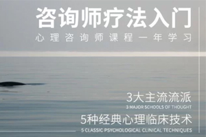 壹心理人人都应该懂点心理疗法《心理咨询技术与疗法入门》百度云网盘下载[MP4/25.57GB]