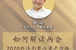 《徐远│如何解读两会：2020经济形势与资产价格》视频课程合集百度云网盘下载[MP4/PDF/969.96MB]