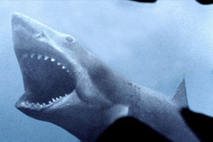 《大白鲨》系列4部高清国英双语中字无水印百度云网盘下载[MKV/1080P/16.53GB]