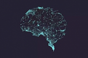 《智识训练营第四期》百度云网盘下载[MP4/669.64MB]