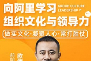 《向阿里学习组织文化与领导力》MP4视频PDF课件百度云网盘下载