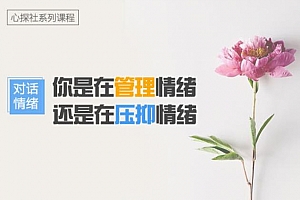 《对话情绪：你的情绪背后隐藏的真实需求是什么？》百度云网盘下载[MP4/1.97GB]