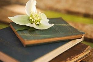 《100本经典名著》音频MP3百度云网盘下载[MP3/1.35GB]