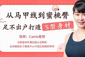 《从马甲线到蜜桃臀，足不出户打造完美身材》视频百度云网盘下载[MP4/2.39GB]