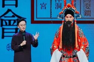 《城楼观山·王珮瑜带你迷京剧》音频MP3百度云网盘下载[598.82MB]