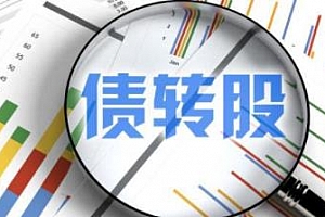 《债转股全系列解析》课程百度网盘分享下载[MP4/541.27MB]