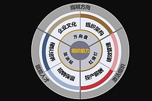 《组织罗盘》视频培训课程[带课件/作业]百度云网盘下载[MP4/3.85GB]