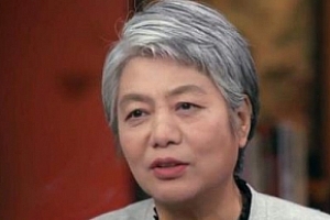 亲子心理《李玫瑾教授育儿视频》讲座课程合集百度云网盘下载(完整版)[MP4/11.12GB]