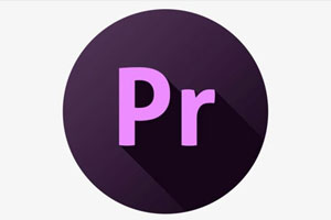 Premiere教程-PR从入门到精通115课时视频(送素材包)合集百度云网盘下载[MP4/20.77GB]