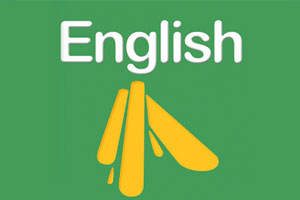 英语中考15天冲刺练习视频加讲义(方侃+张丹丹+王冰36讲全)合集百度云网盘下载[MP4/3.95GB]