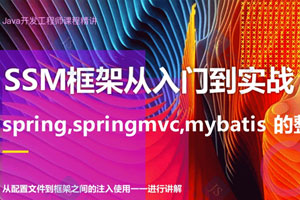 JAVA开发SSM主流框架入门与项目实战视频教程合集百度云网盘下载[MP4/15.02GB]