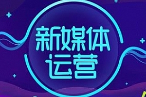 三节课《新媒体运营P2》课程完结版百度云网盘下载[MP4/2.44GB]