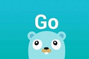 极客时间《GO语言从入门到实战》视频课程合集(完整版)百度云网盘下载[MP4/1.09GB]