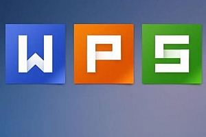 王佩丰《21天WPS表格训练营》百度云网盘资源分享下载[MP4/1.14GB]