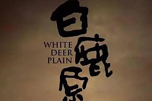 国产剧《白鹿原(2017)》全77集高清1080P国语中字无水印百度云网盘下载[MP4/128.75GB]