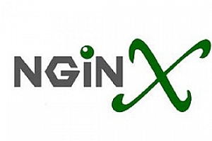 Nginx教程-Nginx从入门到实践系列视频教程合集百度云网盘下载[WMV/2.53GB]