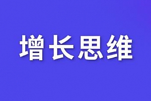 《增长思维》视频教程百度云网盘下载[MP4/PDF/1.64GB]