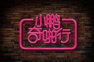 《小鹏奇啪行1-3季》全集(含番外+日本季+女版+越南季+短篇)超清百度云网盘下载