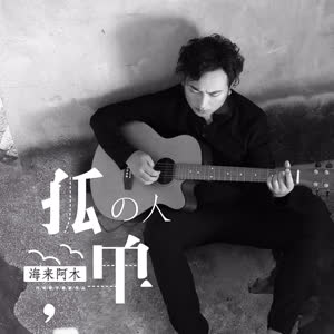 海来阿木《孤单的人》 flac无损音乐免费下载