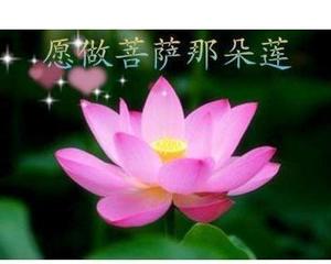 路勇《愿做菩萨那朵莲》 flac无损音乐免费下载