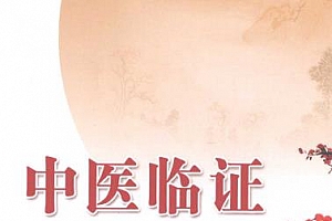 李辛、赵前林《中医临证课》视频课程百度云网盘下载[MP4/6.54GB]