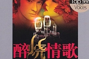 《醉烧情歌-流行HIFI情歌([2009)》[3CD/51首歌曲]百度云网盘下载[WAV/1.71GB]