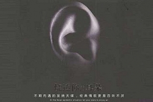 《烧透你的耳朵1.2.3DXD》[3CD]百度云网盘下载[WAV/1.69GB]